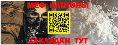 стафф Кингисепп