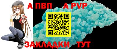 стафф Кингисепп