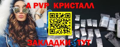 стафф Кингисепп