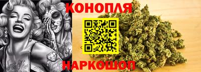 стафф Кингисепп