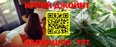 стафф Кингисепп