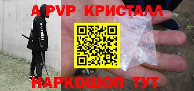 стафф Кингисепп