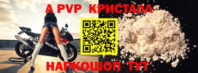 стафф Кингисепп